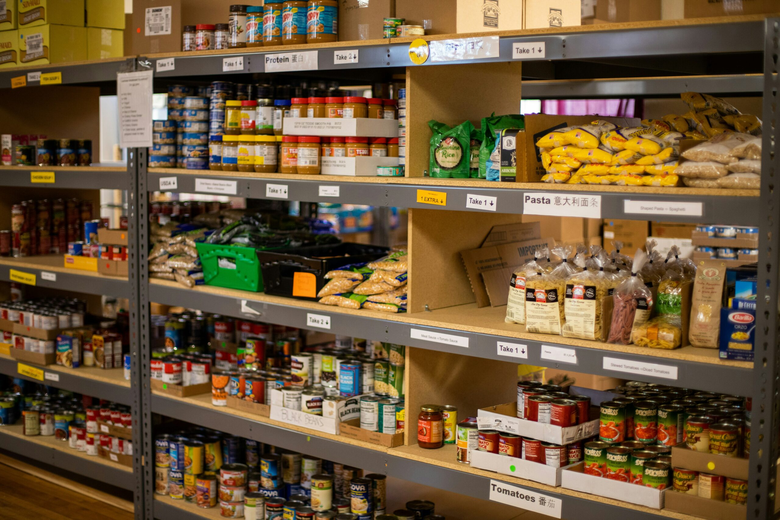 Gaza to Gainesville, How the US Uses Starvation as a Weapon For Political Interest